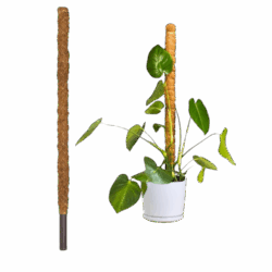 Climbing Pole - Coconut Fibre